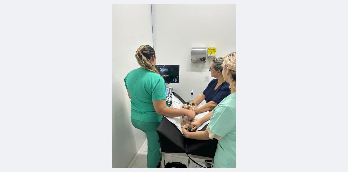 Sala de Ultrassom