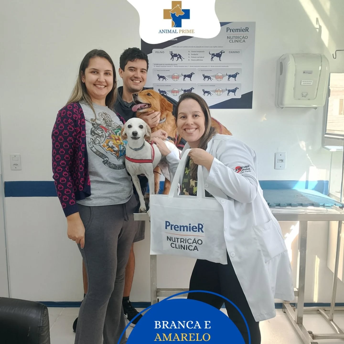 Paciente Branca e Amarelo